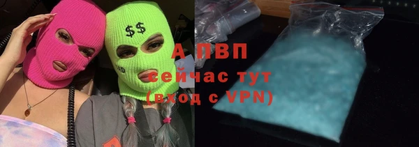 спиды Лагань