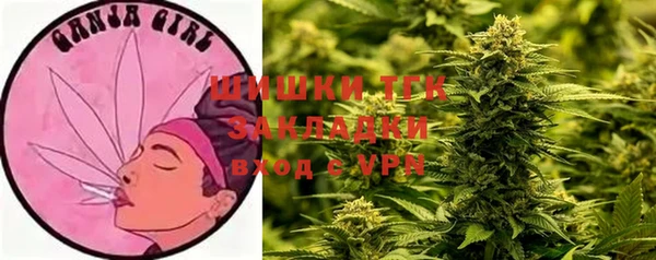 гидра Ладушкин