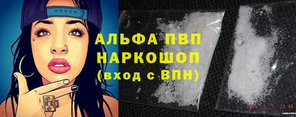 спиды Лагань