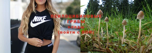 амфетамин Лабытнанги