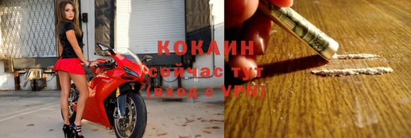 спиды Лагань