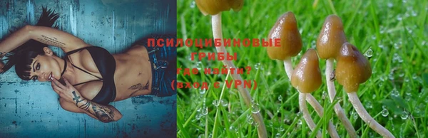 спиды Лагань